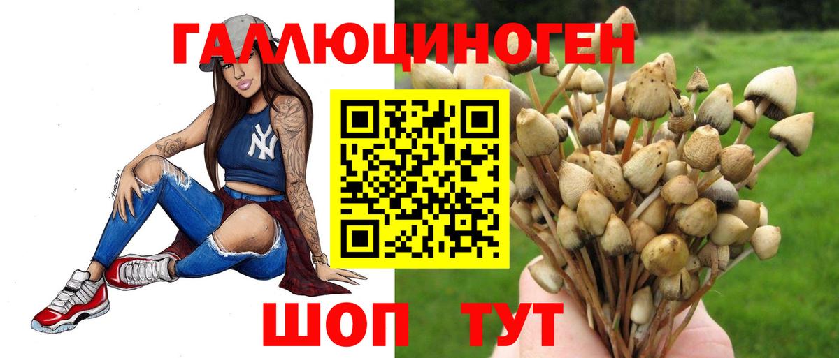 Псилоцибиновые грибы прущие грибы Асбест